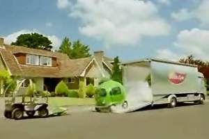 Birds Eye - Frozen Pea Car